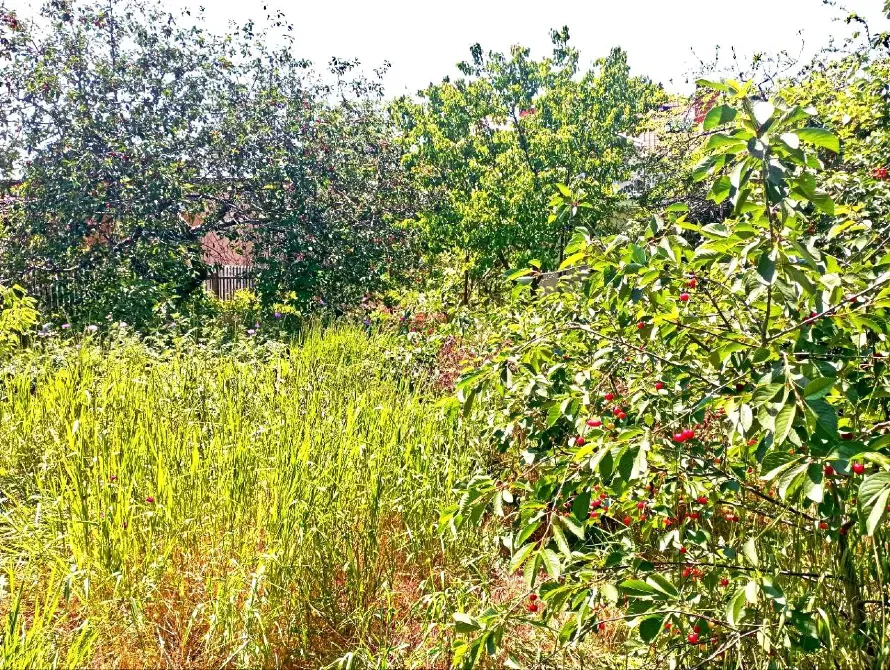 For sale land plot For the construction of a private residential building area 4.9 ares Мала Садова вулиця, 19 Odessa - photo 4