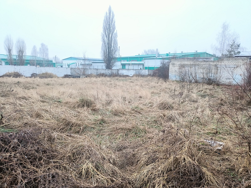 Продаж земельної ділянки 29 соток на Миру Zhytomyr - photo 4