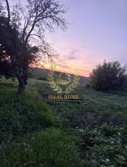 Продаж Будинок 3-кімнатний на Остапа Вишни ул., 17  - фото 7