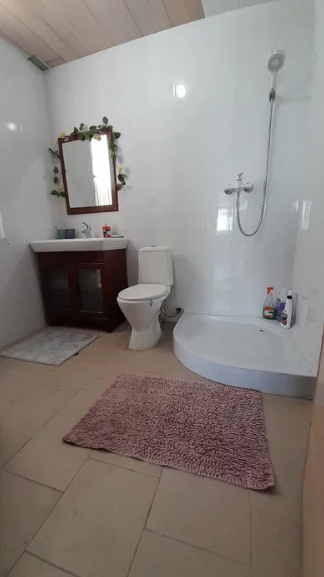 Продам домик возле моря в Крыжановке (218 Причал) Крижанівка (Комінтернівський район) - фото 9