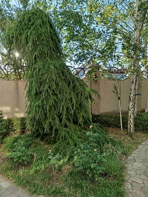 Красивый дом в Сухом Лимане. Сухий Лиман - изображение 16