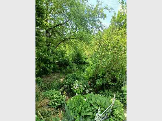 Продаж 1-поверховий Дача  45 кв.м 2 кімн. на вул. Броварська, Деньги