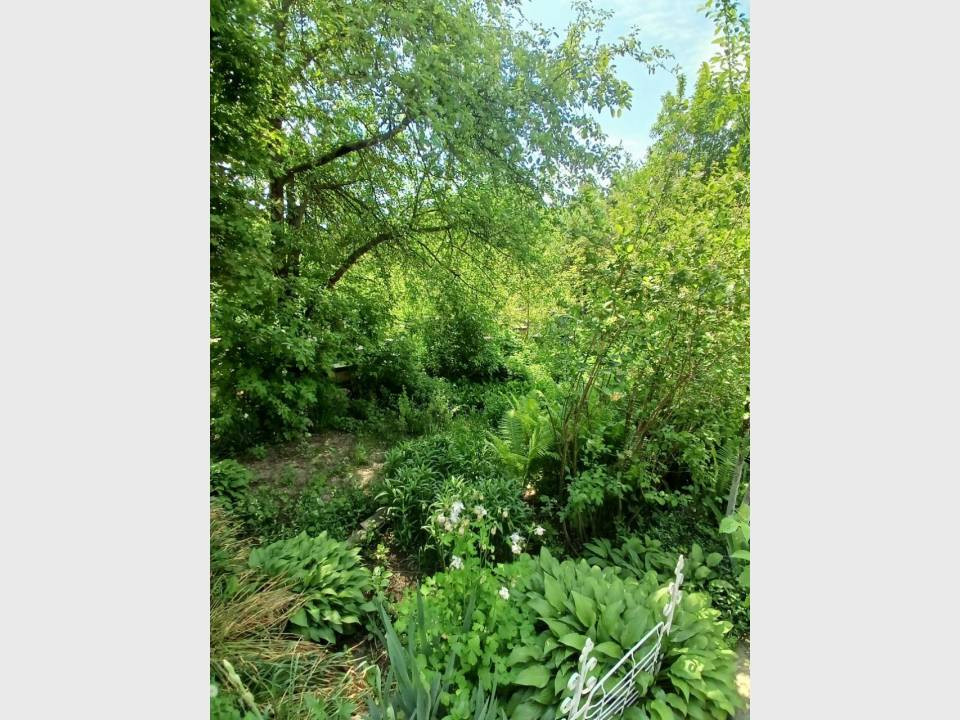 Продаж 1-поверховий Дача  45 кв.м 2 кімн. на вул. Броварська, Деньги - фото 3