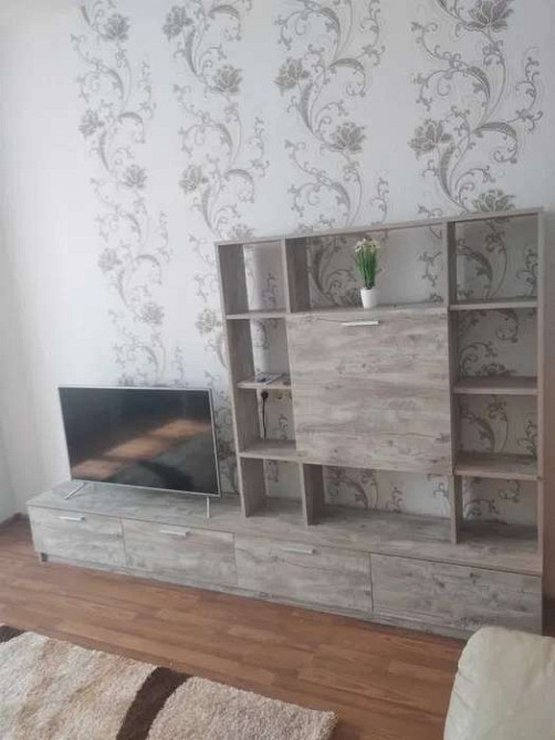 Оренда Квартира 1-кімнатна, 4/25 поверх Kiev - photo 5