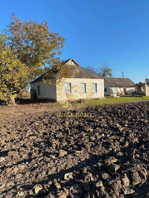 Продається будинок в Юшківому Розі  - фото 19