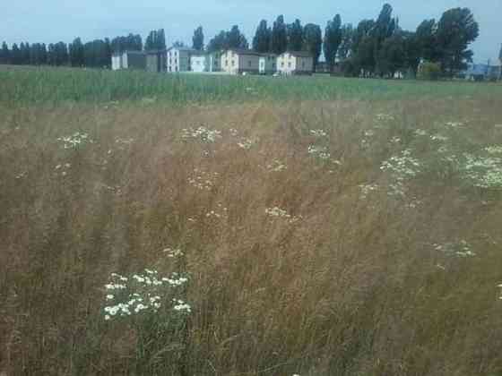 Продаж земельної ділянки 3.39 га 