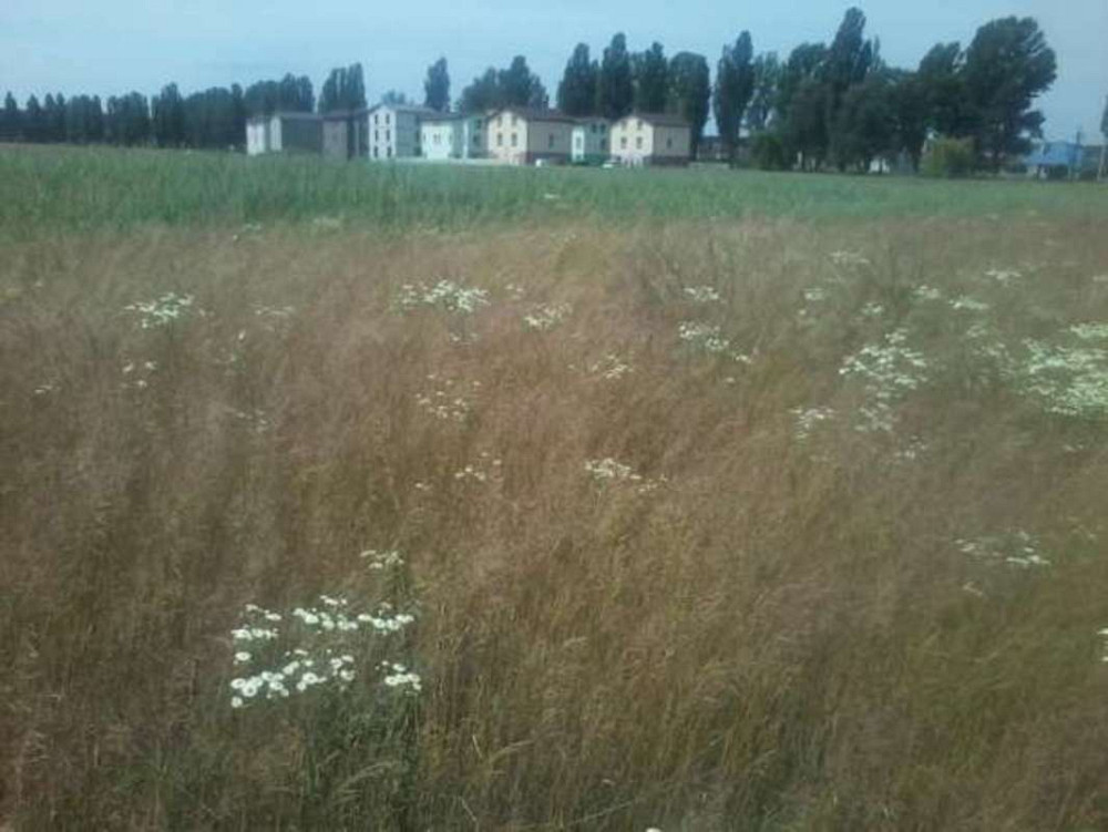 Продаж земельної ділянки 3.39 га  - фото 2