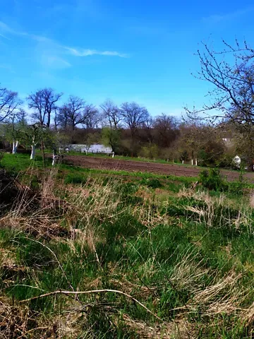 For sale land plot  area 13 ares Лісова вулиця  - photo 7