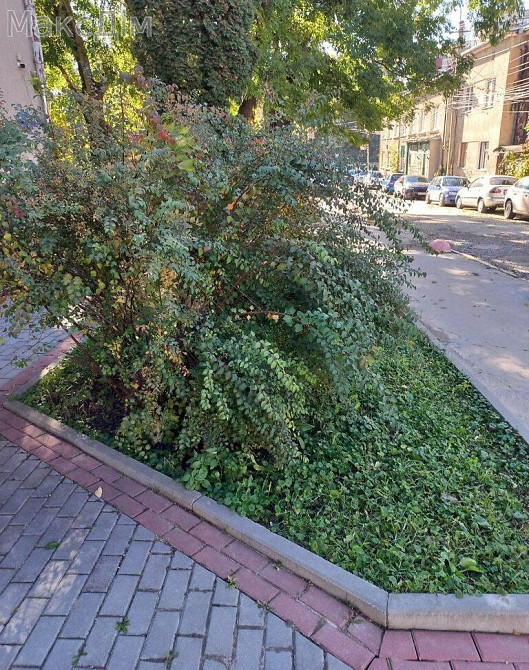 Оренда Квартира 1-кімнатна, 4/9 поверх на вул. Київська Тернополь - изображение 2