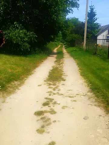 Продажа земельного участка  площадь 29.6 сот Шевченка вулиця  - изображение 5