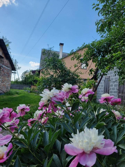 Продаж 2-поверховий Будинок  159 кв.м 6 кімн. на , Дубіївка - фото 12