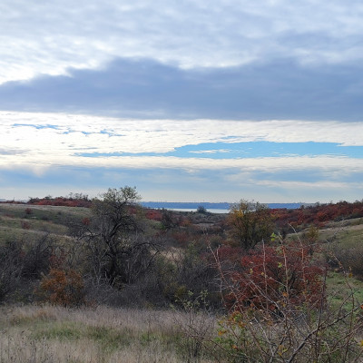 Продаж земельної ділянки 2 соток на ул. Центральная, 2/2 Усатове - фото 3