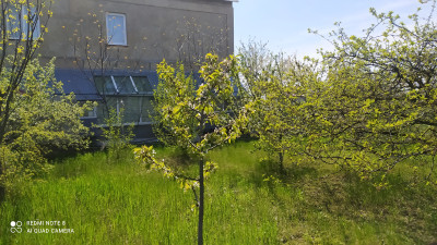 Продаж земельної ділянки 0.1 соток на ул. Хаджибеевская, 29 Нерубайське - фото 15