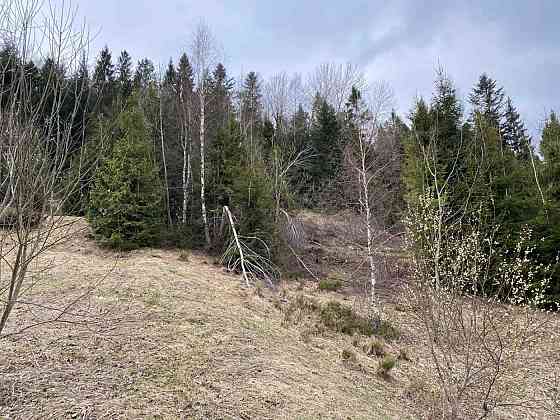 Продаж земельної ділянки 10 соток на вул. Під Митою Орявчик