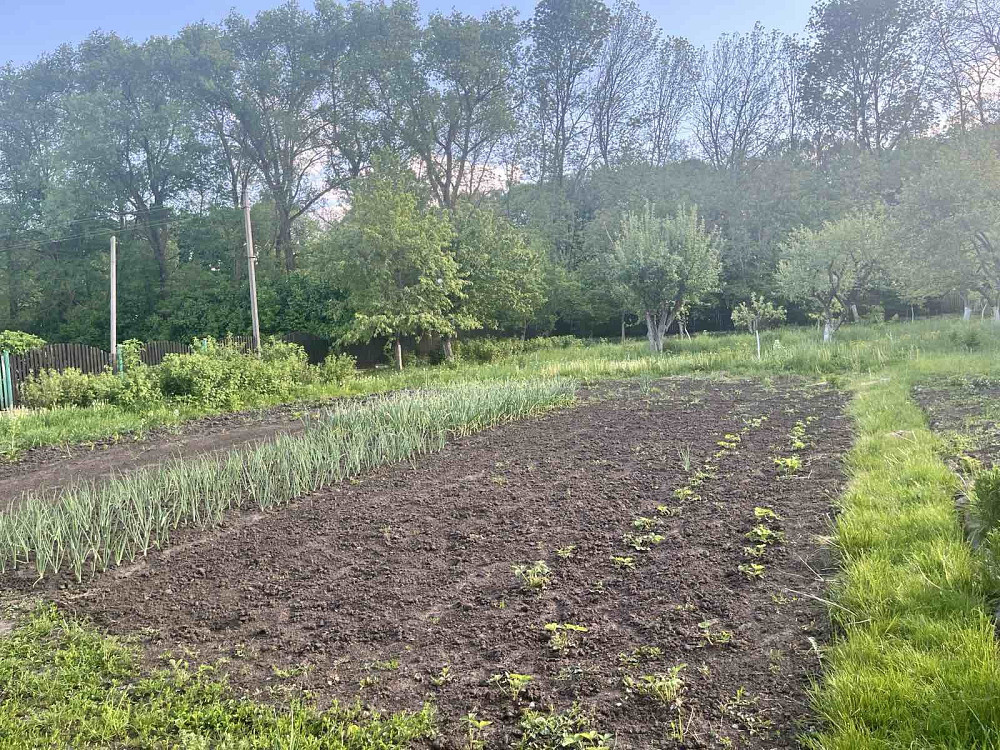 Без комісії!!!Продається будинок з власним озерцем поблизу Тернополя  - фото 11