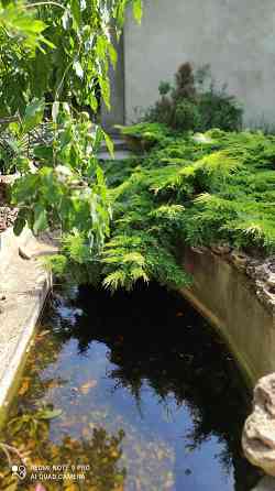 Дом в Овидиополе Овідіополь