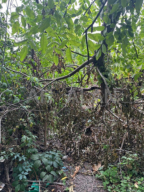 Продаж Будинок на Товарна вул., 14 Kiev - photo 2