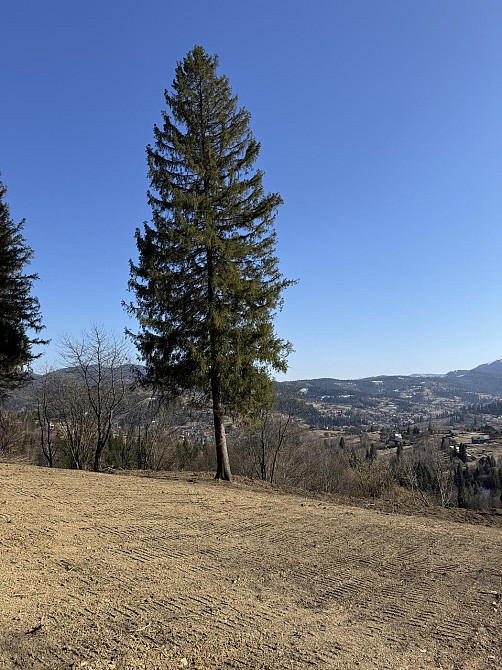 Продаж земельної ділянки 1.25 га Slavske - photo 4