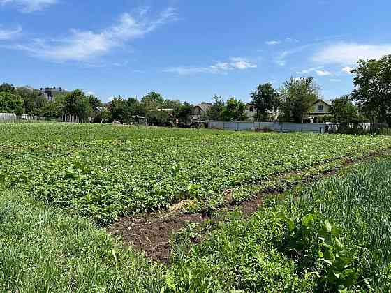 Продаж земельної ділянки 10 соток Chukalivka