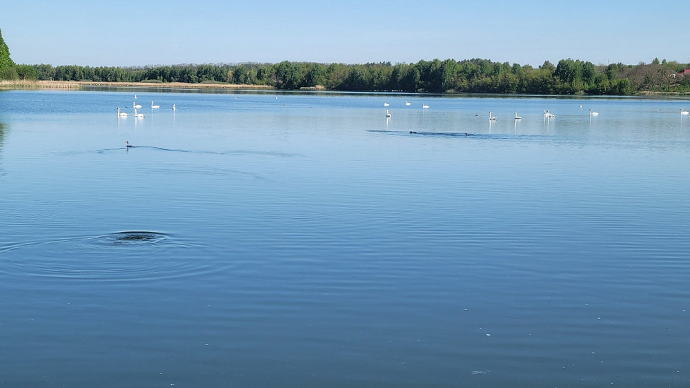 Продаж Будинок на Черешнева  - фото 16