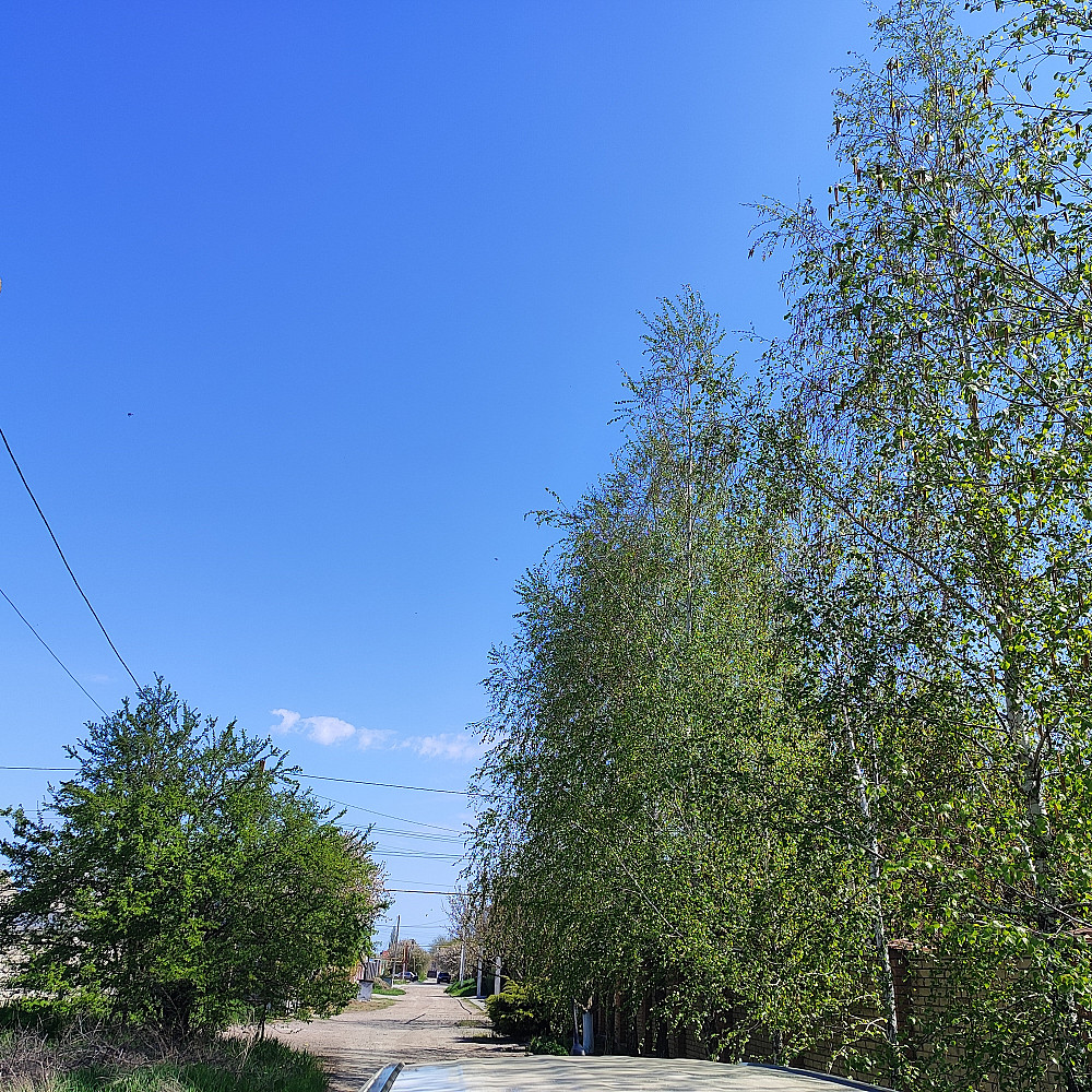 Продам большой дом-дуплекс в с. Нерубайское. Нерубайське - фото 14