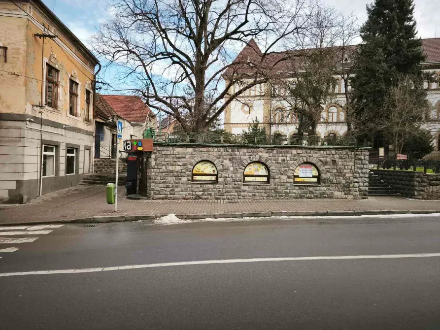 Продаж Окрема будівля / частина будівлі площа 47 кв.м 1-й поверх на Собранецька 2 Ужгород - фото 3