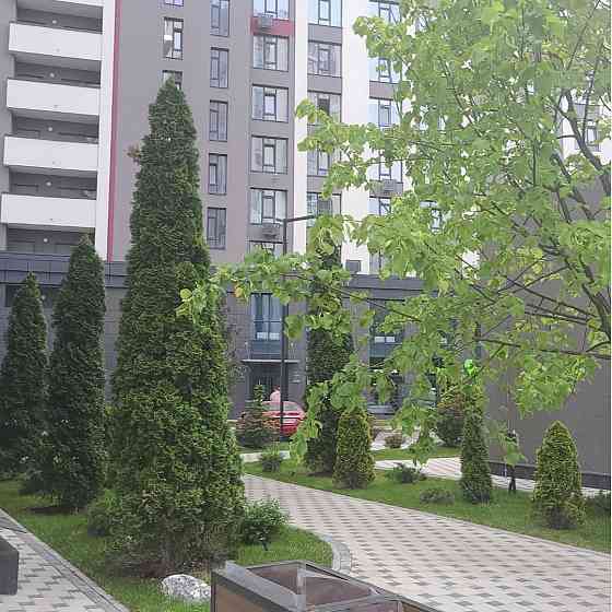 Продаж Квартира 1-кімнатна, 6/16 поверх на Любомира Гузара вул., д. 15 Київ