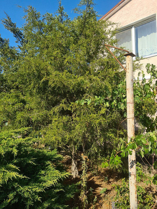 Уютный дом с садом в Новой Долине. До Одессы 15 минут. Нова Долина - фото 17