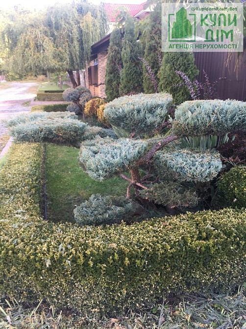 Продам садибу в тихому та затишному місці с.Знамянка. Водяне (м Знам'янка район) - фото 4