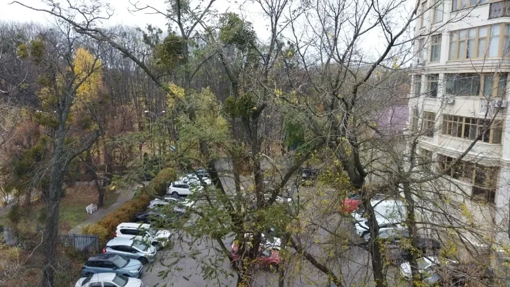 Аренда 1к Квартира 29.6 кв.м Паркова Сирецька, 6 Киев - изображение 14