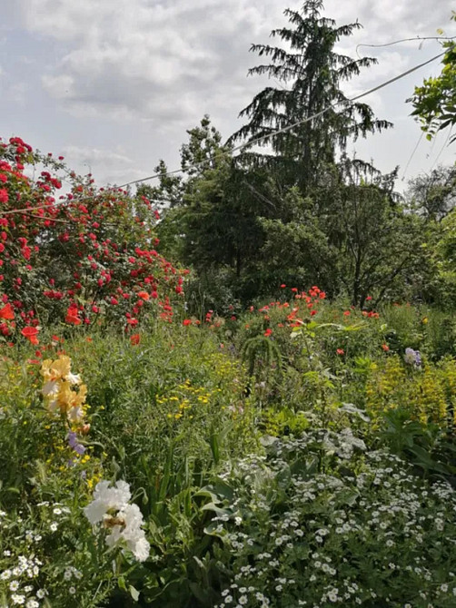 Продається будинок з ексклюзивною земельною ділянкою в центрі міста. Кропивницький - фото 16