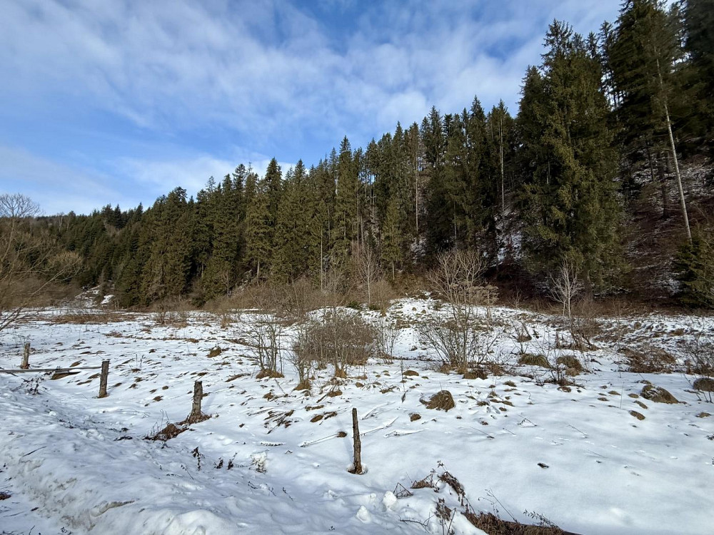 Продаж земельної ділянки 44.6 соток на вул. Шевченка Тухля - изображение 4