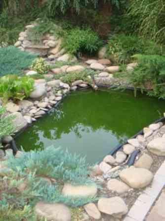 Дом в Царском селе Одесса