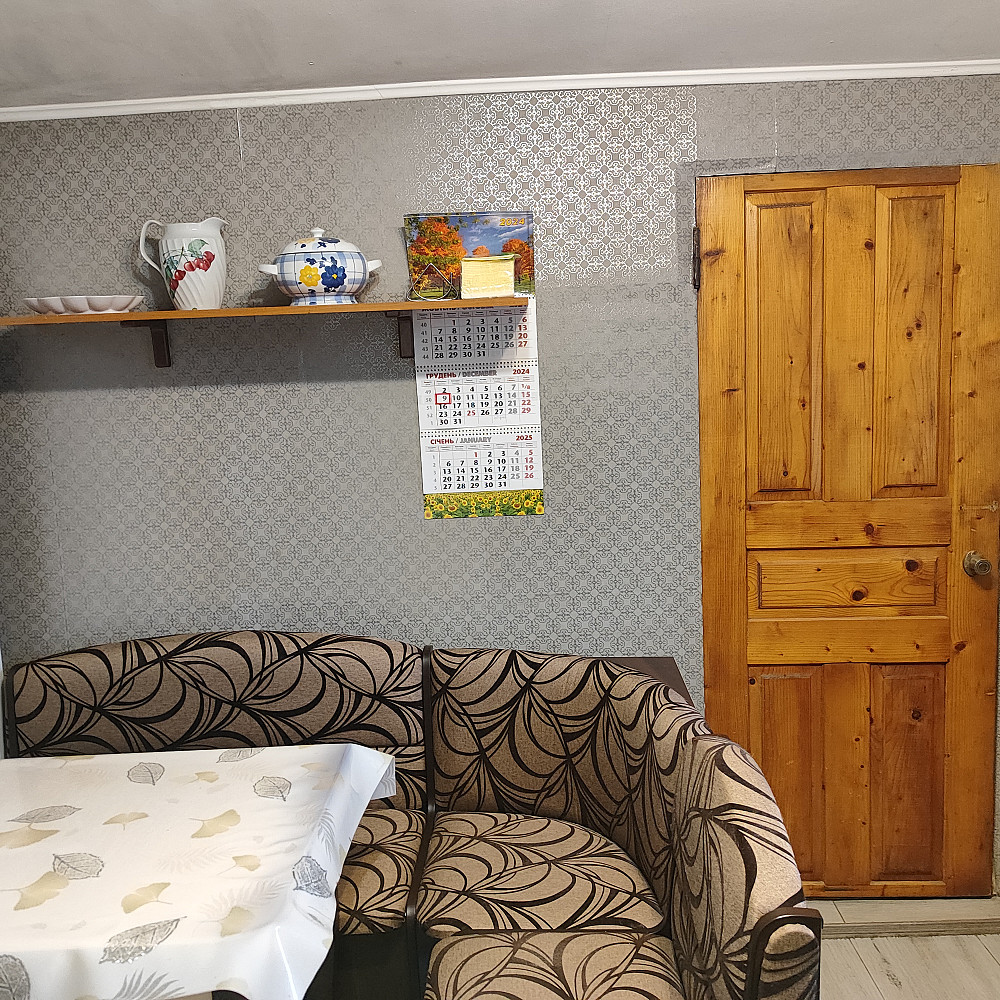 Дом с большим участком в с.Усатово. Usatove - photo 12