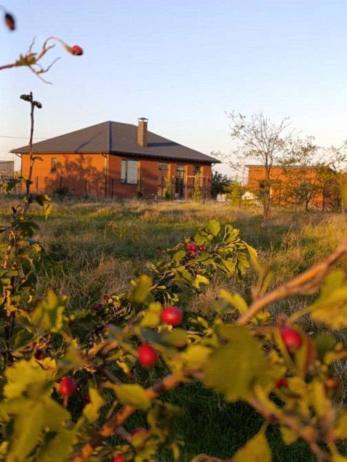 Продається 1 поверховий будинок, Фонтанка 1 Фонтанка - фото 9