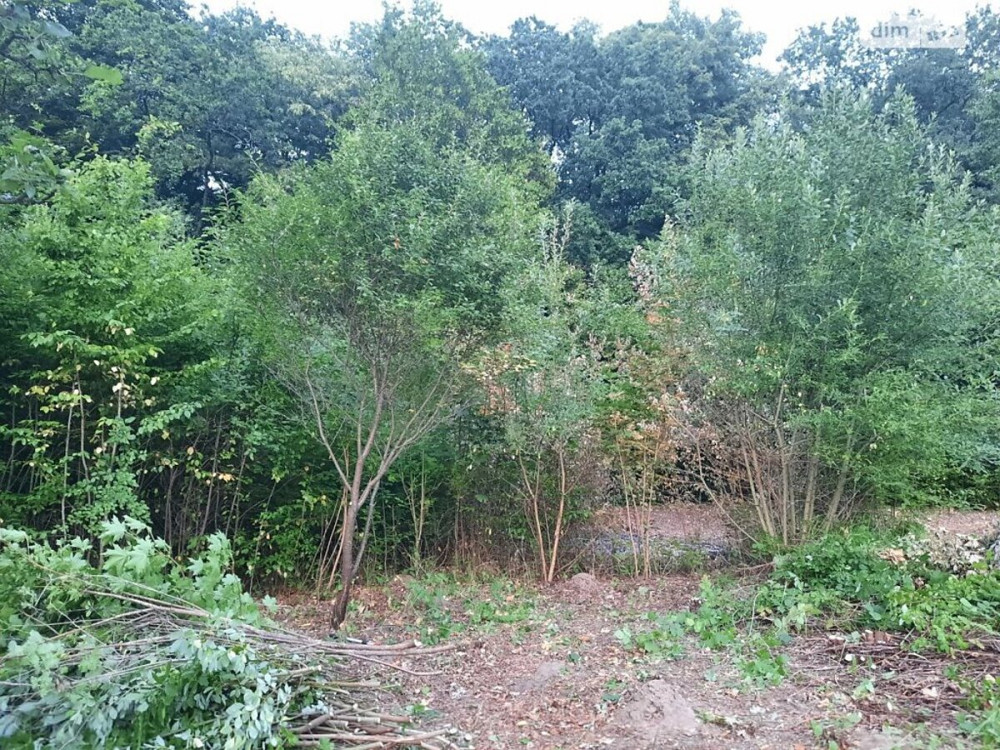 Продаж земельної ділянки 40 соток  - фото 11