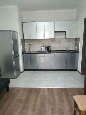 Оренда Квартира 1-кімнатна, 13/16 поверх Kiev