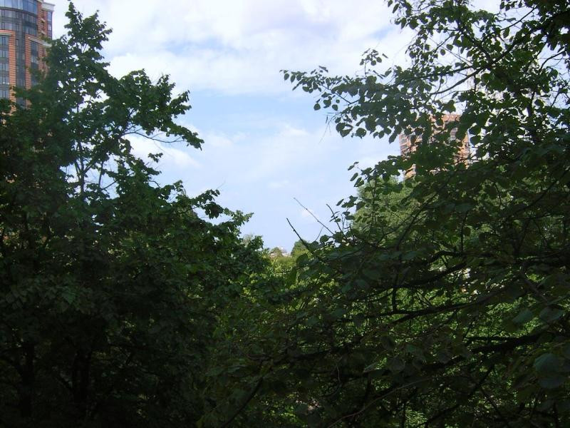 Відмінна 4-х кімнатна суміжно-роздільна, ст. м. Печерська. № 1174903 Київ - фото 18