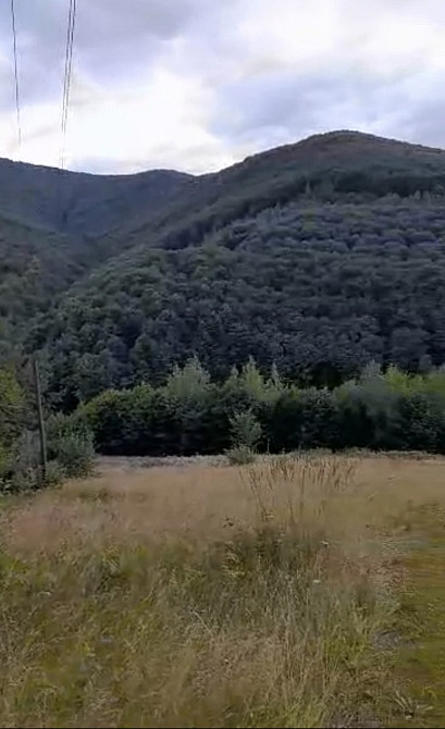 Продаж земельної ділянки 71.71 соток Yaremche - photo 3