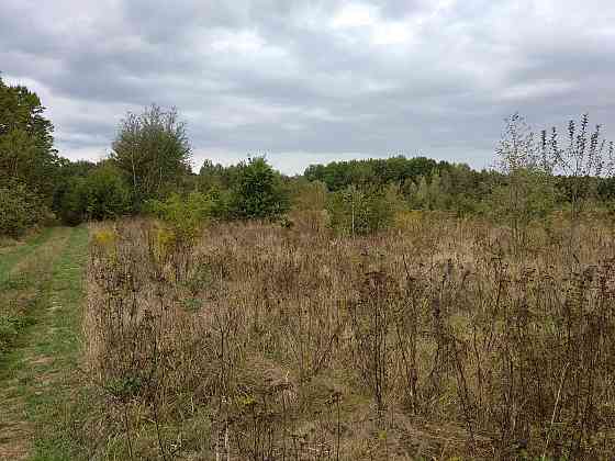 Продаж земельної ділянки 35.3 соток Pavlivka