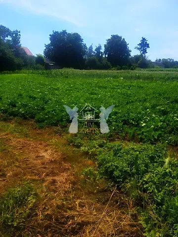 Продажа земельного участка  площадь 32.27 сот Шевченка вулиця  - изображение 3