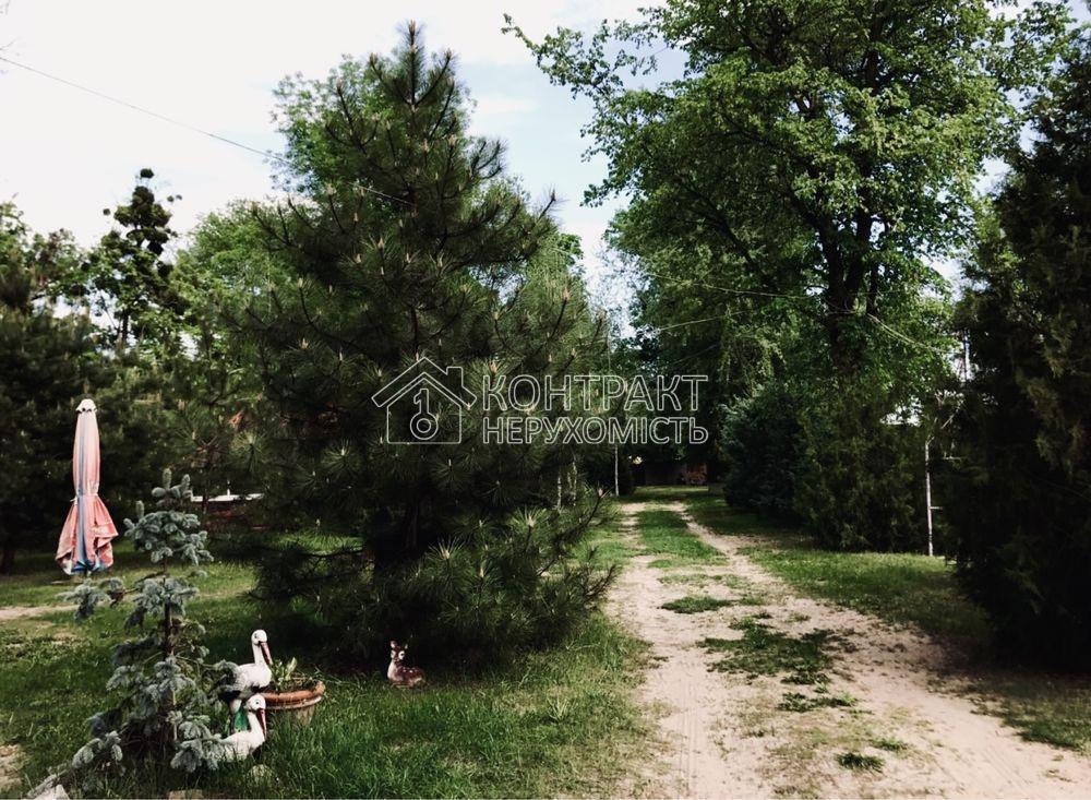 Продаж приміщення вільного призначення на вул. монастирська приміщень - 5, поверх - 1/2  - фото 6