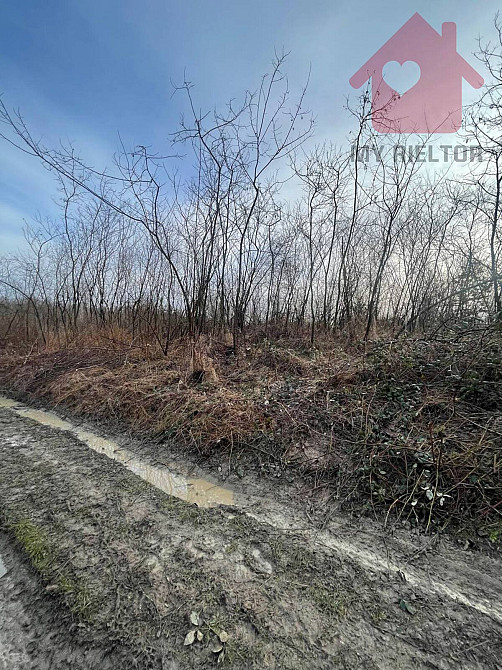 Продаж земельної ділянки 8.2 соток  - фото 9