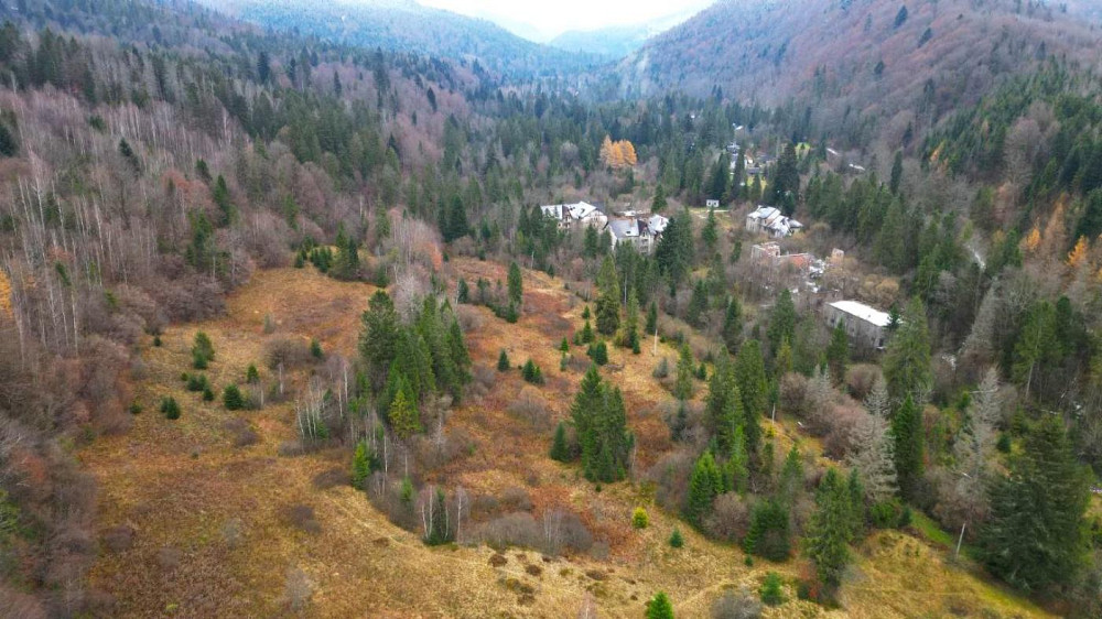 Продаж земельної ділянки 22.6 соток Гребенів - фото 7