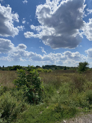 Продаж земельної ділянки 1.5 соток на ул. Генерала Петрова, 46Б Odessa - photo 8