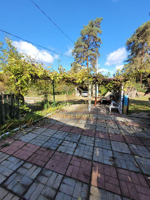 продається будинок Камянському лісництві с. Камянка Каменка (Іванківський район) - фото 17