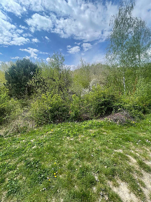 Продаж земельної ділянки 5.5 соток  - photo 4