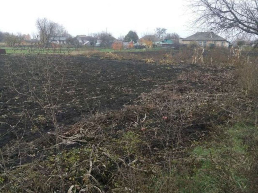 Продаж 1-поверховий Будинок з ділянкою 22 сот 53.9 кв.м    - фото 7