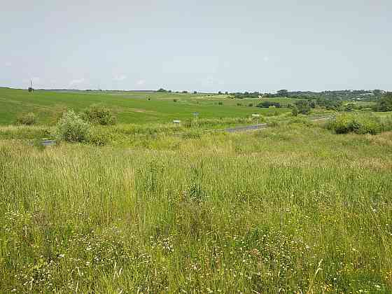 Продаж земельної ділянки 7 соток на Пшенична Vovchynets