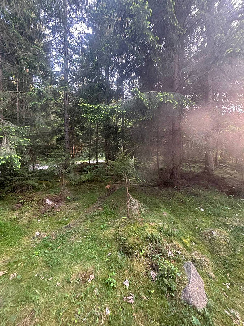 Продаж Будинок  - фото 6